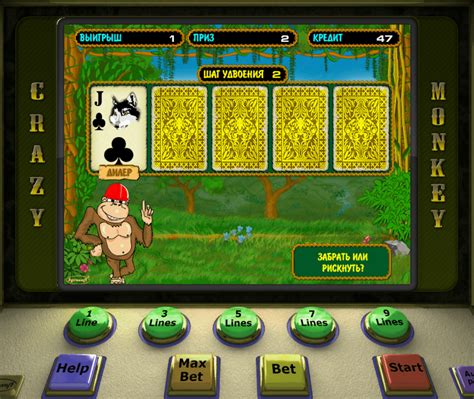 Игровой автомат 12 Animals  играть бесплатно
